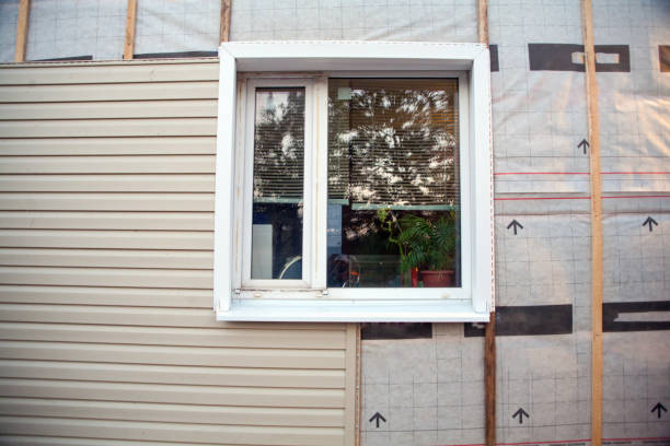 Best Siding for Commercial Buildings  in Christmas, FL